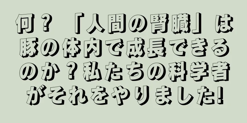 何？ 「人間の腎臓」は豚の体内で成長できるのか？私たちの科学者がそれをやりました!