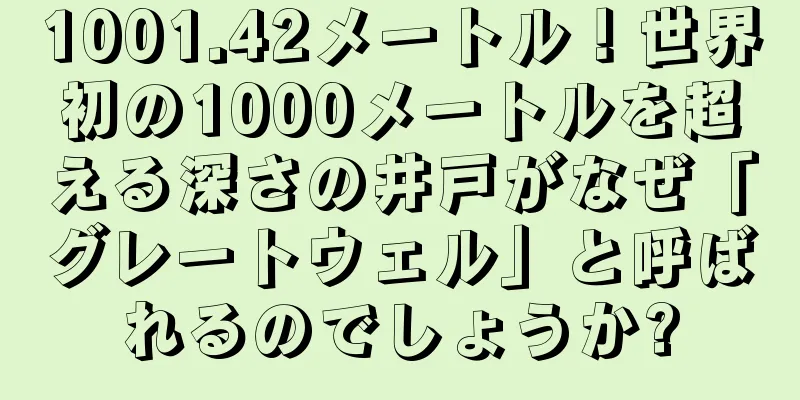 1001.42メートル！世界初の1000メートルを超える深さの井戸がなぜ「グレートウェル」と呼ばれるのでしょうか?
