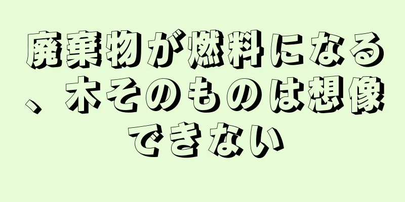 廃棄物が燃料になる、木そのものは想像できない