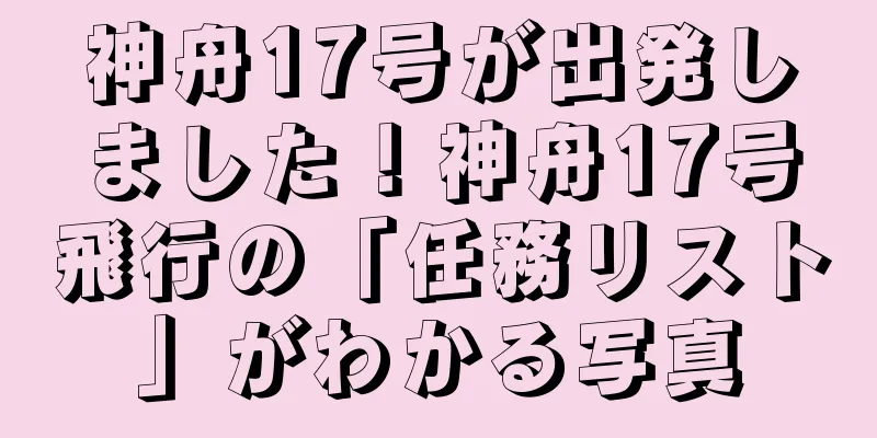 神舟17号が出発しました！神舟17号飛行の「任務リスト」がわかる写真
