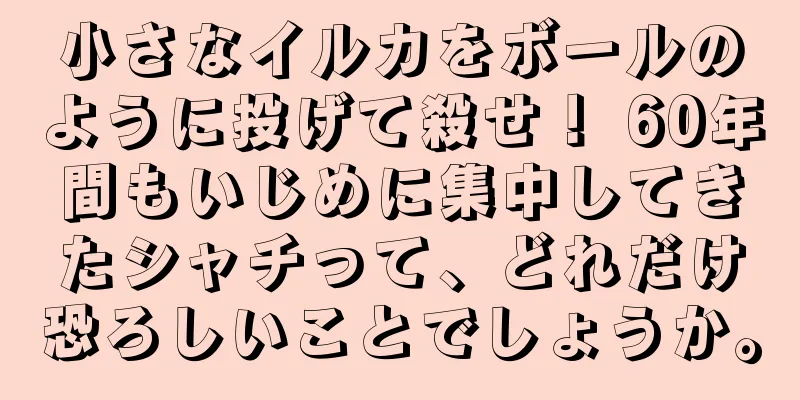 小さなイルカをボールのように投げて殺せ！ 60年間もいじめに集中してきたシャチって、どれだけ恐ろしいことでしょうか。