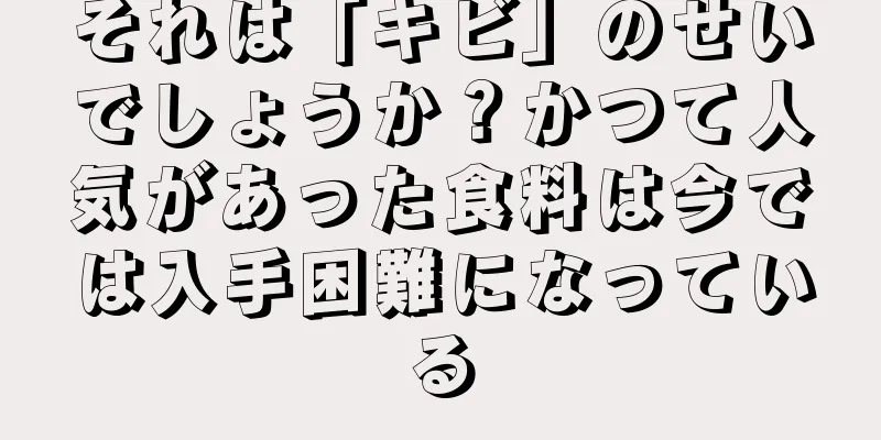 それは「キビ」のせいでしょうか？かつて人気があった食料は今では入手困難になっている