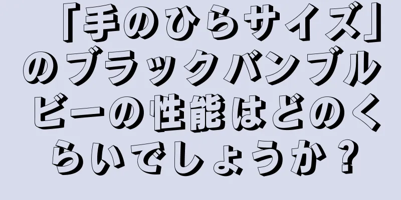 「手のひらサイズ」のブラックバンブルビーの性能はどのくらいでしょうか？