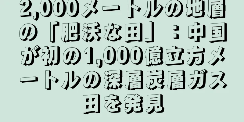 2,000メートルの地層の「肥沃な田」：中国が初の1,000億立方メートルの深層炭層ガス田を発見