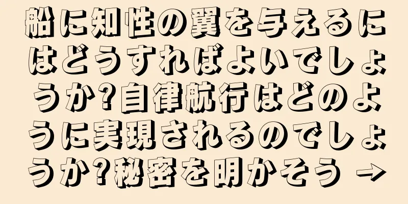 船に知性の翼を与えるにはどうすればよいでしょうか?自律航行はどのように実現されるのでしょうか?秘密を明かそう →