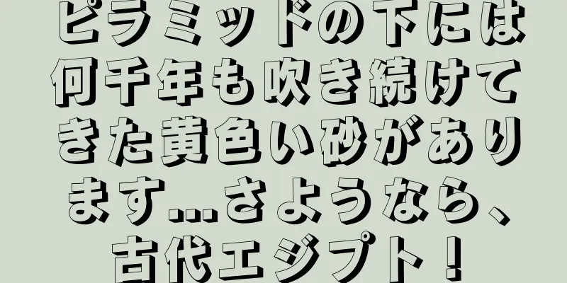 ピラミッドの下には何千年も吹き続けてきた黄色い砂があります...さようなら、古代エジプト！