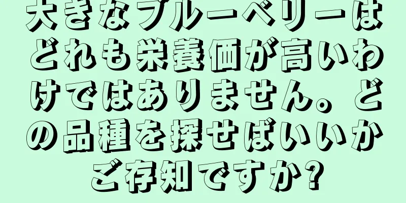 大きなブルーベリーはどれも栄養価が高いわけではありません。どの品種を探せばいいかご存知ですか?