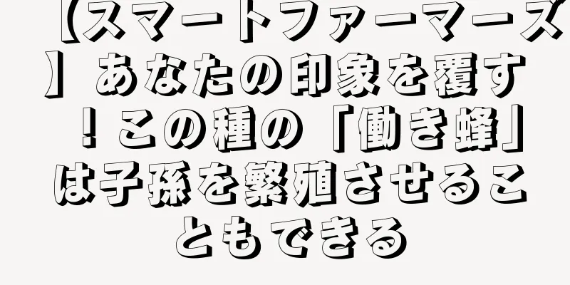 【スマートファーマーズ】あなたの印象を覆す！この種の「働き蜂」は子孫を繁殖させることもできる