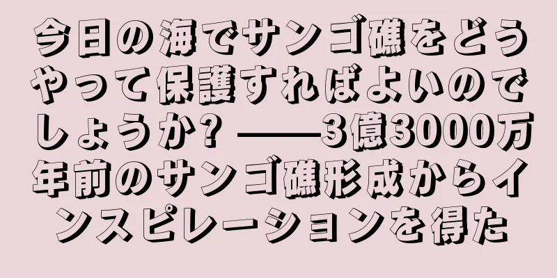 今日の海でサンゴ礁をどうやって保護すればよいのでしょうか? ——3億3000万年前のサンゴ礁形成からインスピレーションを得た