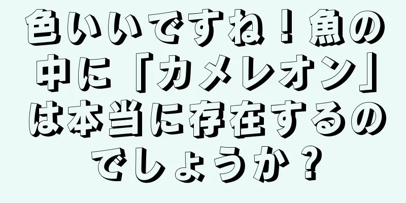 色いいですね！魚の中に「カメレオン」は本当に存在するのでしょうか？