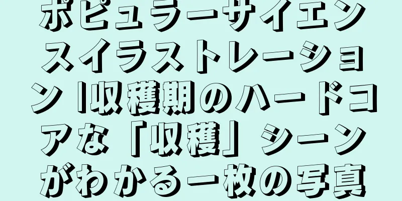 ポピュラーサイエンスイラストレーション |収穫期のハードコアな「収穫」シーンがわかる一枚の写真