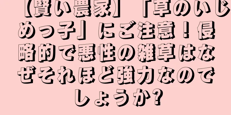 【賢い農家】「草のいじめっ子」にご注意！侵略的で悪性の雑草はなぜそれほど強力なのでしょうか?