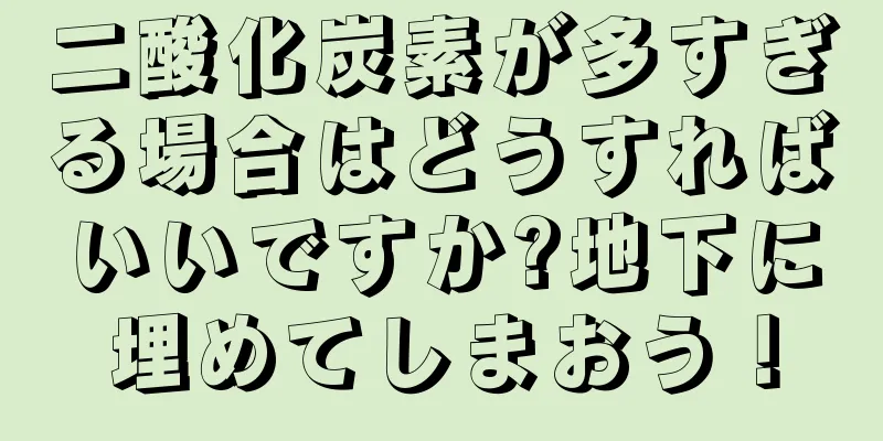 二酸化炭素が多すぎる場合はどうすればいいですか?地下に埋めてしまおう！