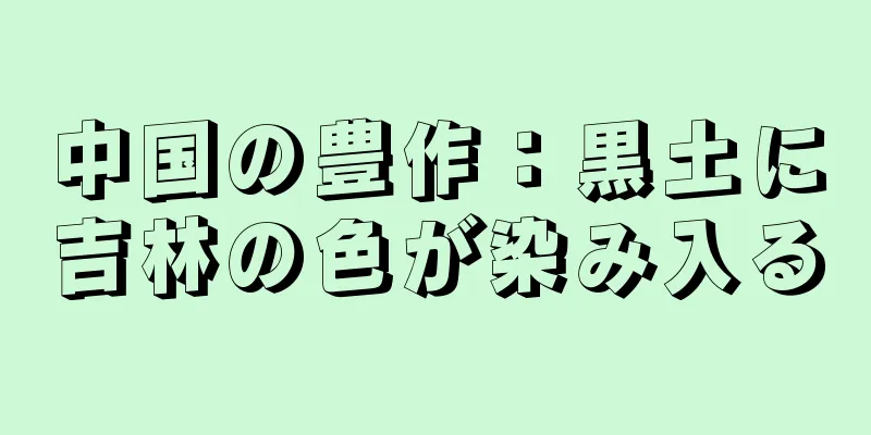 中国の豊作：黒土に吉林の色が染み入る