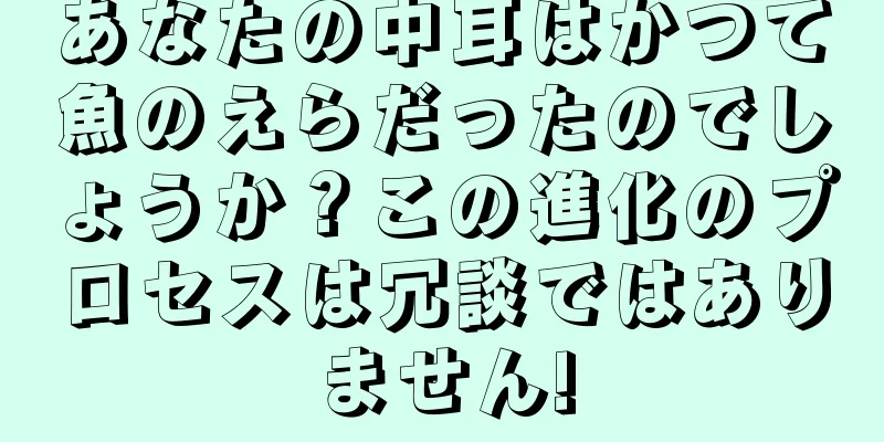 あなたの中耳はかつて魚のえらだったのでしょうか？この進化のプロセスは冗談ではありません!