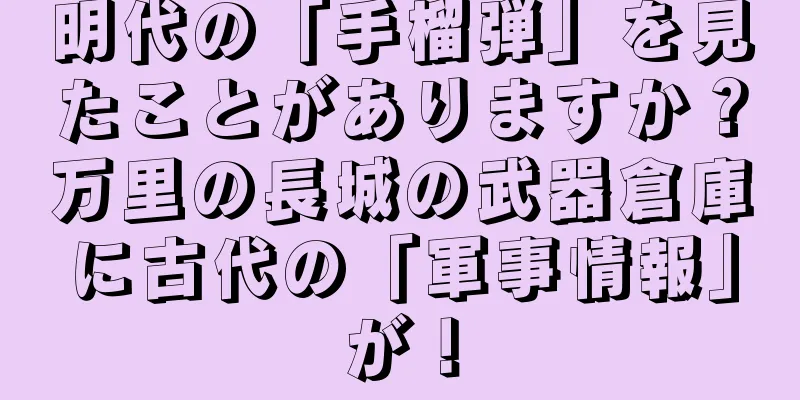 明代の「手榴弾」を見たことがありますか？万里の長城の武器倉庫に古代の「軍事情報」が！
