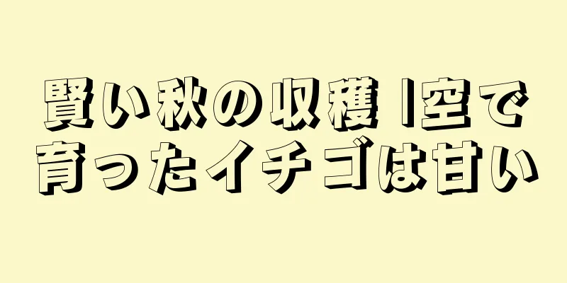 賢い秋の収穫 |空で育ったイチゴは甘い