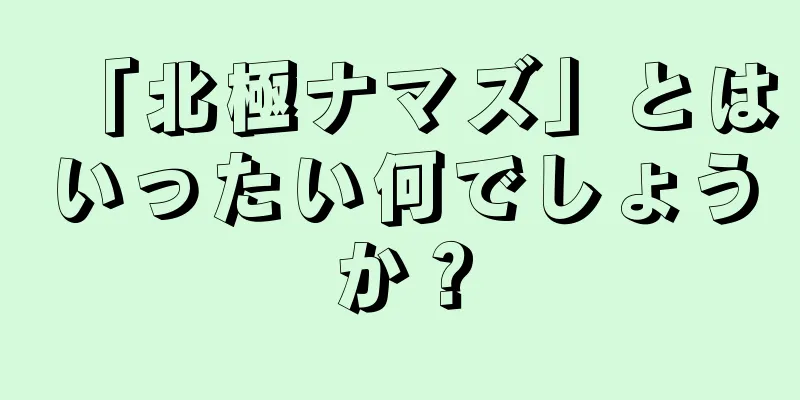 「北極ナマズ」とはいったい何でしょうか？
