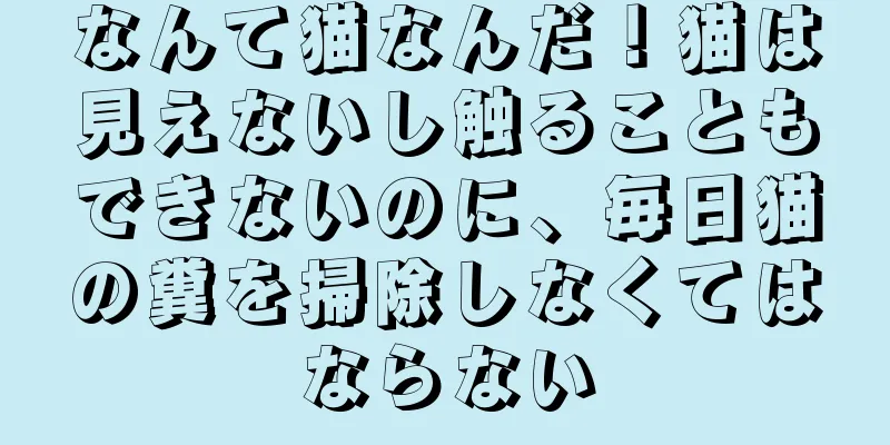 なんて猫なんだ！猫は見えないし触ることもできないのに、毎日猫の糞を掃除しなくてはならない