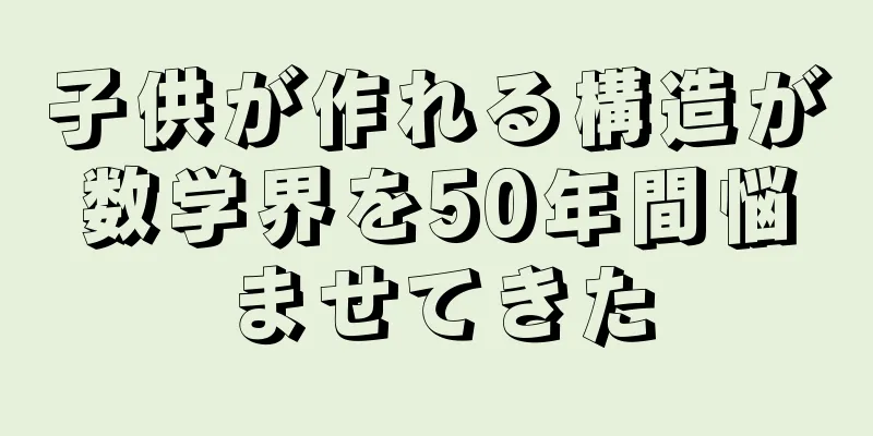 子供が作れる構造が数学界を50年間悩ませてきた