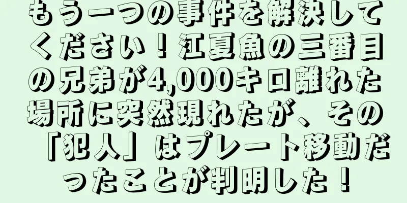 もう一つの事件を解決してください！江夏魚の三番目の兄弟が4,000キロ離れた場所に突然現れたが、その「犯人」はプレート移動だったことが判明した！