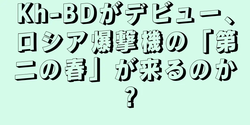 Kh-BDがデビュー、ロシア爆撃機の「第二の春」が来るのか？