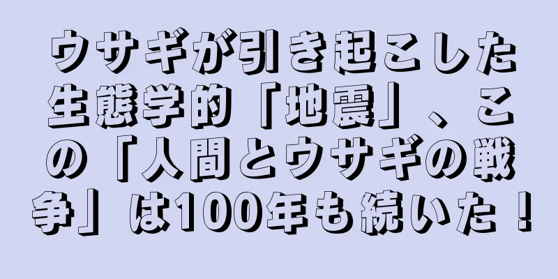 ウサギが引き起こした生態学的「地震」、この「人間とウサギの戦争」は100年も続いた！