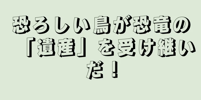 恐ろしい鳥が恐竜の「遺産」を受け継いだ！