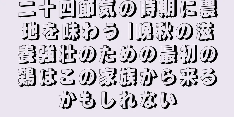 二十四節気の時期に農地を味わう |晩秋の滋養強壮のための最初の鶏はこの家族から来るかもしれない