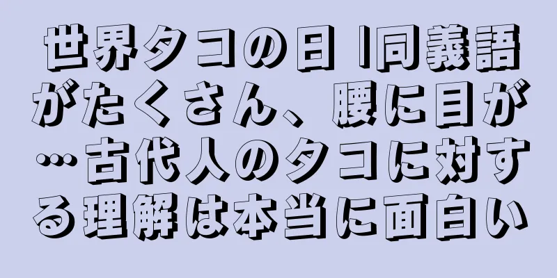 世界タコの日 |同義語がたくさん、腰に目が…古代人のタコに対する理解は本当に面白い