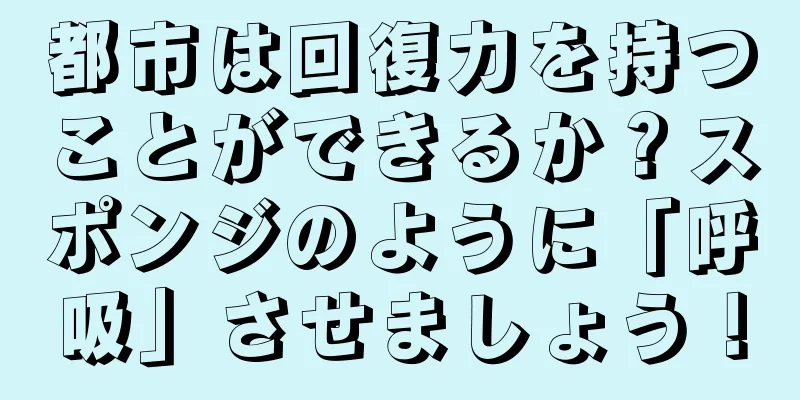 都市は回復力を持つことができるか？スポンジのように「呼吸」させましょう！