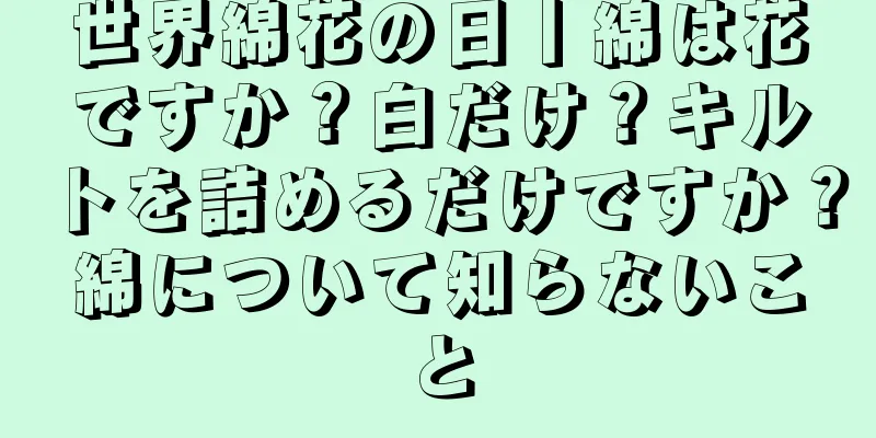 世界綿花の日丨綿は花ですか？白だけ？キルトを詰めるだけですか？綿について知らないこと