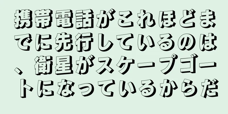 携帯電話がこれほどまでに先行しているのは、衛星がスケープゴートになっているからだ