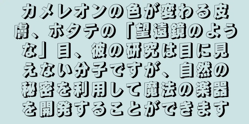 カメレオンの色が変わる皮膚、ホタテの「望遠鏡のような」目、彼の研究は目に見えない分子ですが、自然の秘密を利用して魔法の楽器を開発することができます