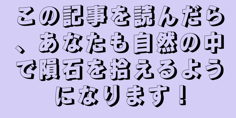 この記事を読んだら、あなたも自然の中で隕石を拾えるようになります！