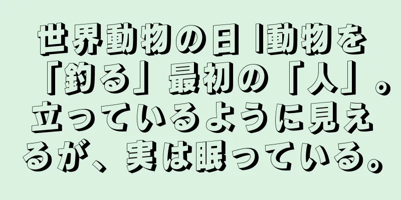 世界動物の日 |動物を「釣る」最初の「人」。立っているように見えるが、実は眠っている。
