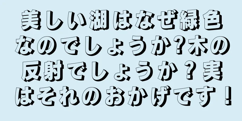 美しい湖はなぜ緑色なのでしょうか?木の反射でしょうか？実はそれのおかげです！