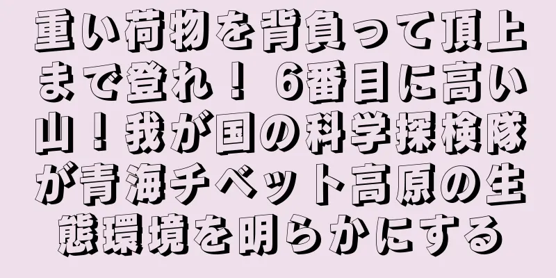 重い荷物を背負って頂上まで登れ！ 6番目に高い山！我が国の科学探検隊が青海チベット高原の生態環境を明らかにする