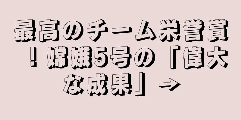 最高のチーム栄誉賞！嫦娥5号の「偉大な成果」→