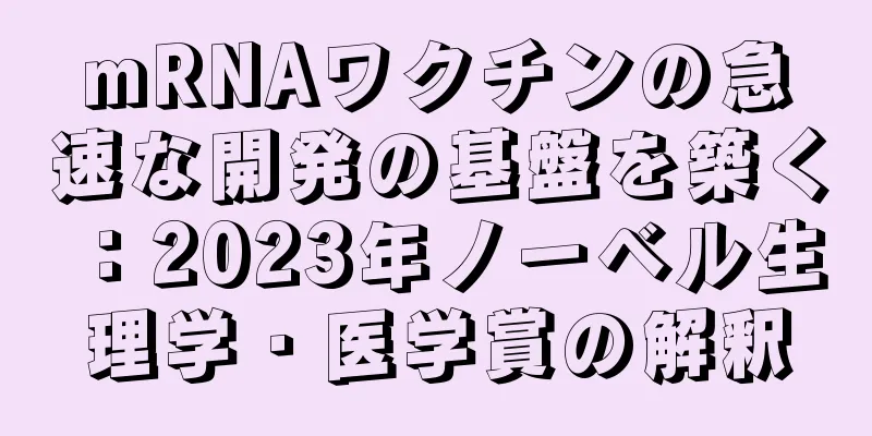 mRNAワクチンの急速な開発の基盤を築く：2023年ノーベル生理学・医学賞の解釈