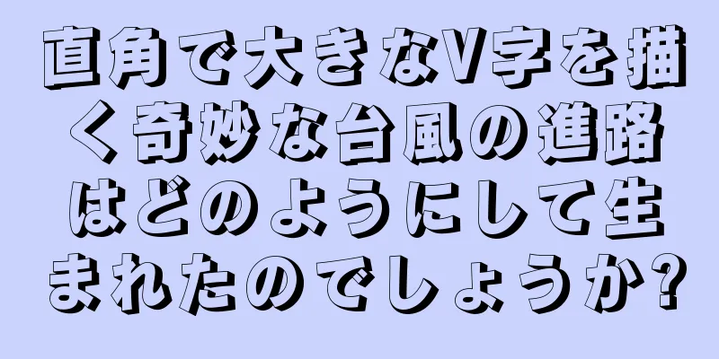 直角で大きなV字を描く奇妙な台風の進路はどのようにして生まれたのでしょうか?