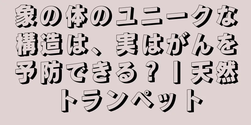 象の体のユニークな構造は、実はがんを予防できる？丨天然トランペット