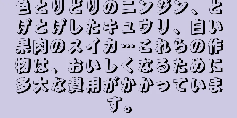 色とりどりのニンジン、とげとげしたキュウリ、白い果肉のスイカ…これらの作物は、おいしくなるために多大な費用がかかっています。