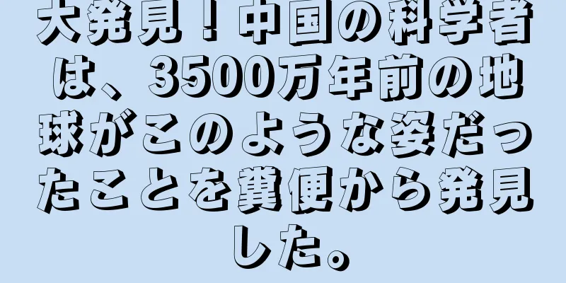 大発見！中国の科学者は、3500万年前の地球がこのような姿だったことを糞便から発見した。