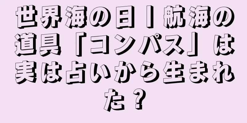 世界海の日丨航海の道具「コンパス」は実は占いから生まれた？