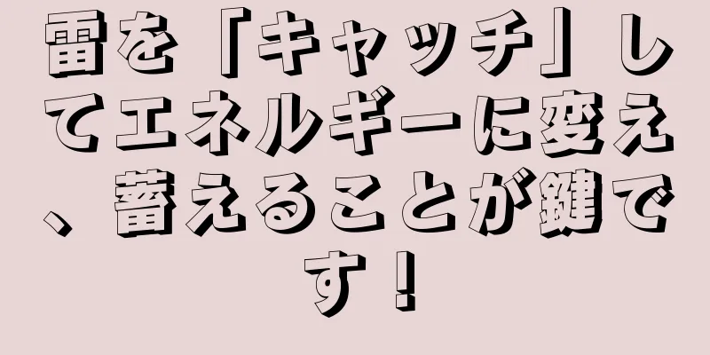 雷を「キャッチ」してエネルギーに変え、蓄えることが鍵です！