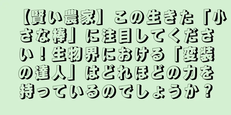 【賢い農家】この生きた「小さな棒」に注目してください！生物界における「変装の達人」はどれほどの力を持っているのでしょうか？