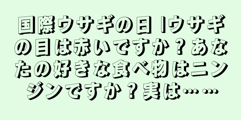 国際ウサギの日 |ウサギの目は赤いですか？あなたの好きな食べ物はニンジンですか？実は……