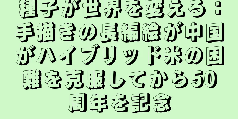 種子が世界を変える：手描きの長編絵が中国がハイブリッド米の困難を克服してから50周年を記念