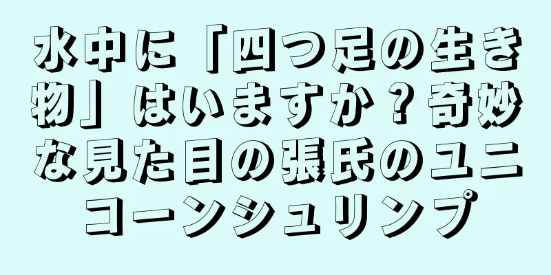 水中に「四つ足の生き物」はいますか？奇妙な見た目の張氏のユニコーンシュリンプ